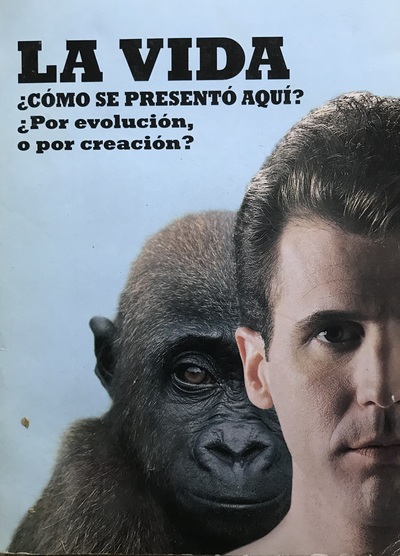 La vida