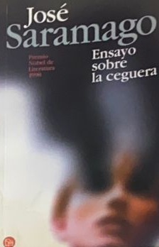Ensayo sobre la ceguera