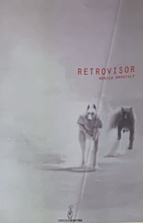 Retrovisor