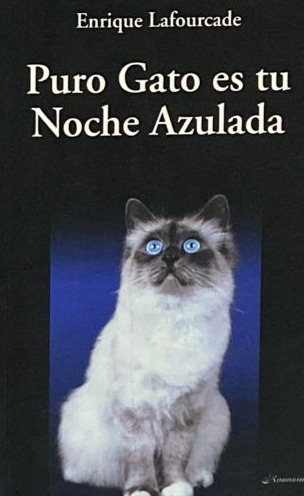 Puro Gato es tu noche azulada