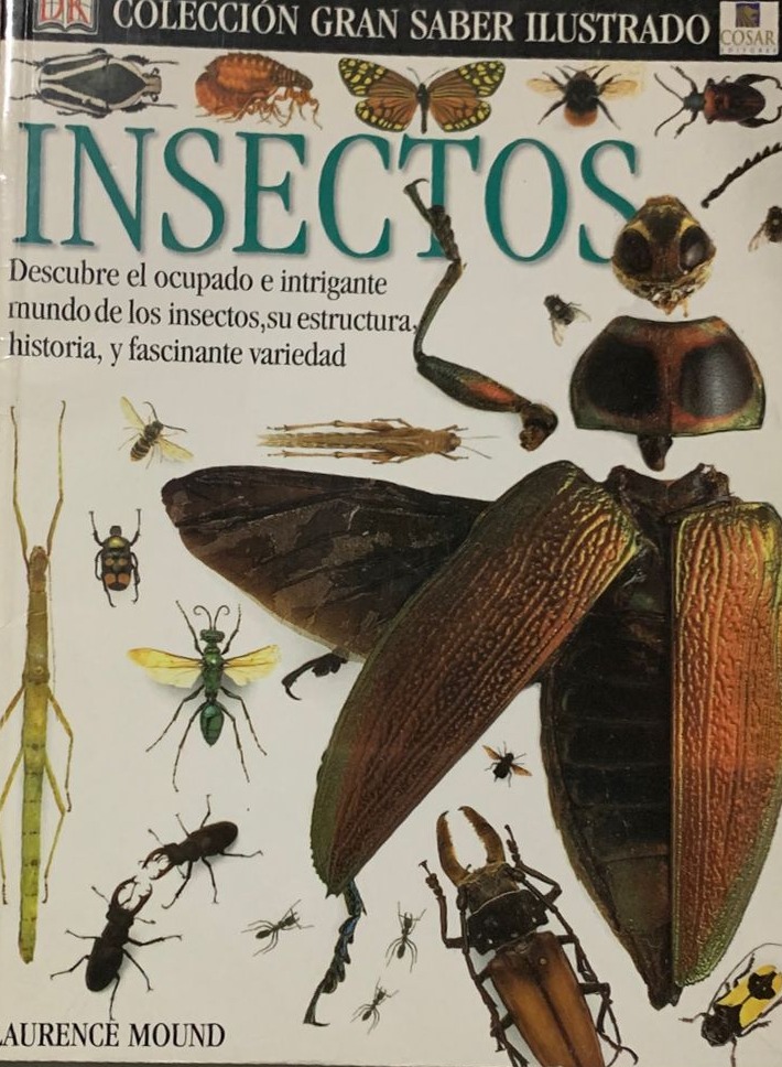 Colección gran saber ilustrado: Insectos