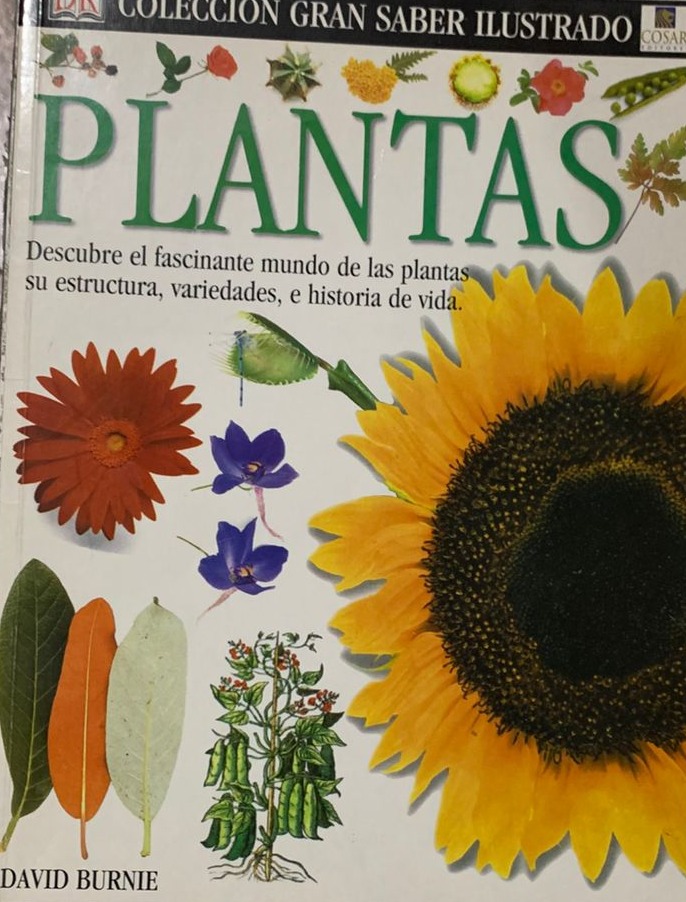 Colección gran saber ilustrado: Plantas
