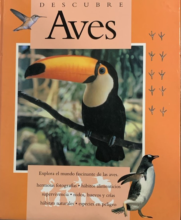 Descubre Aves: Explora el mundo fascinante de las aves / Tapa Dura
