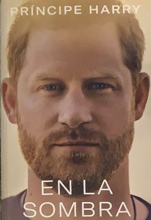 En la sombra