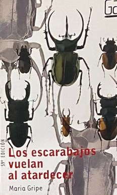 Los escarabajos vuelan al atardecer