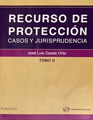 Recurso de protección: Casos y jurisprudencia, Tomo II