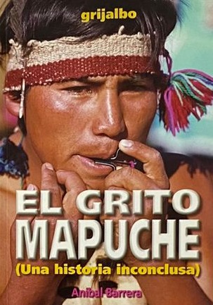 El Grito Mapuche (Una historia inconclusa)