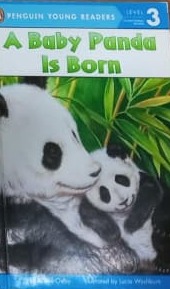 A Baby Panda Is Born Level 3