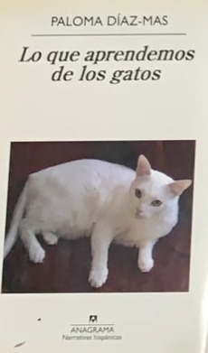 Lo que aprendemos de los gatos / Tapa Dura