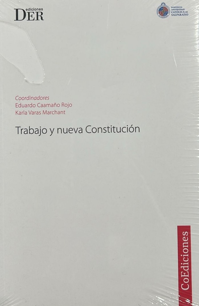 Trabajo y nueva Constitución