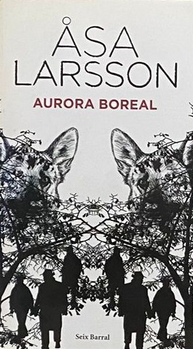 Aurora Boreal