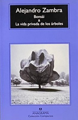 Bonsái / La vida privada de los árboles