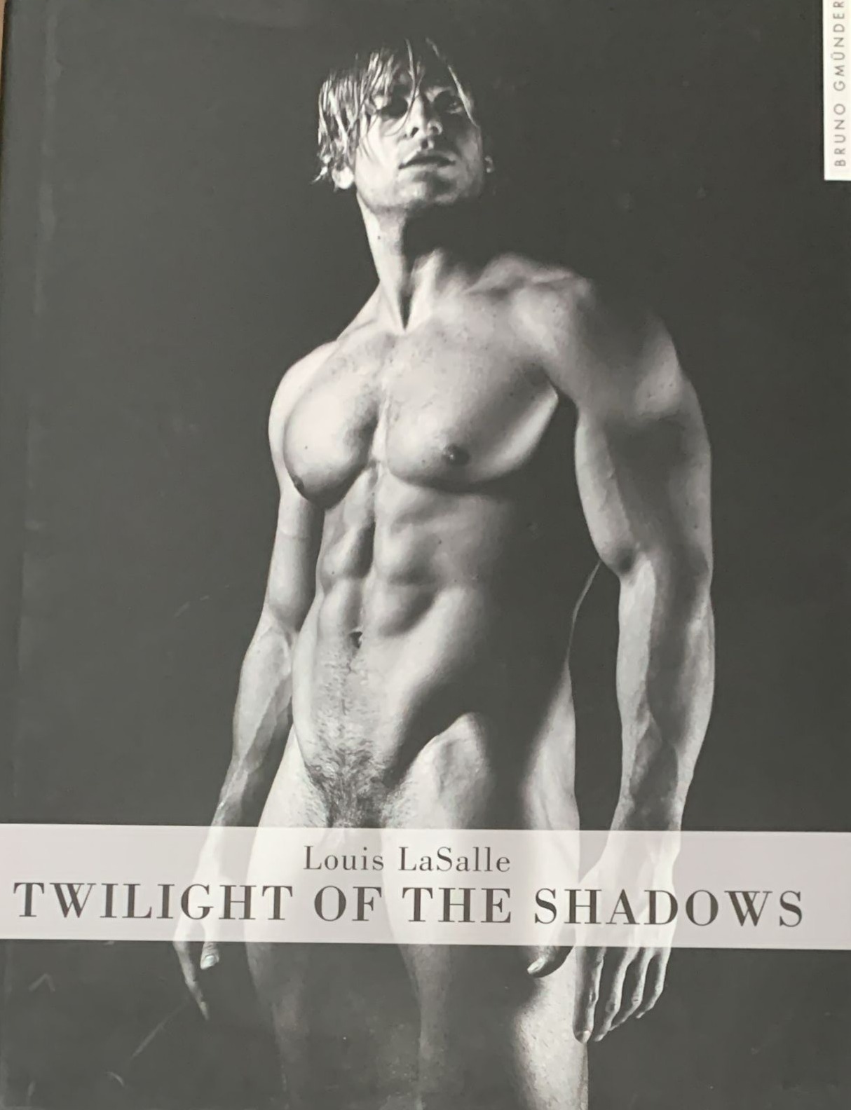 Twilight of the Shadows / Tapa Dura