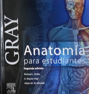 Gray - Anatomía para estudiantes (segunda edición)