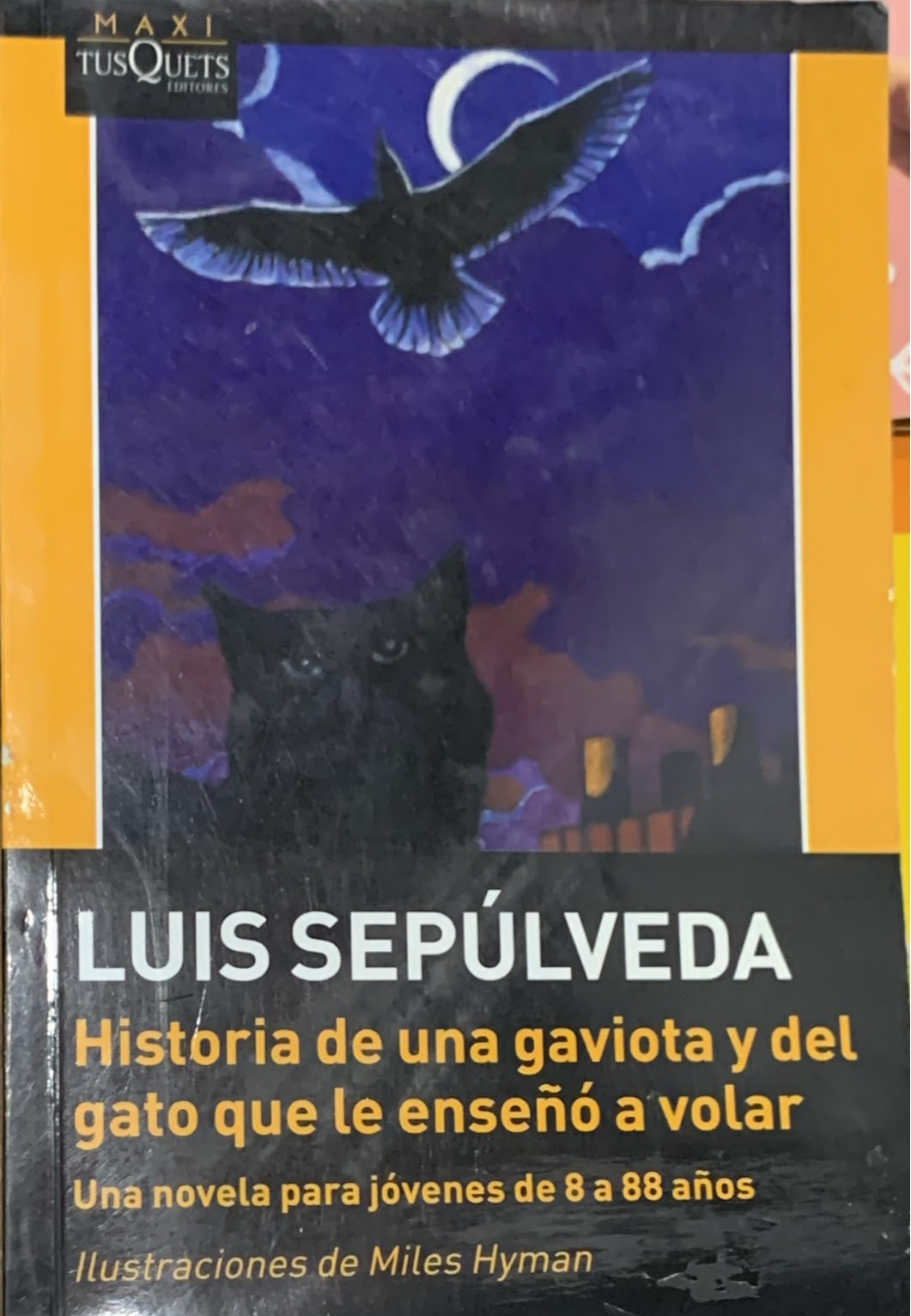 Historia de una gaviota y del gato que le enseñó a volar