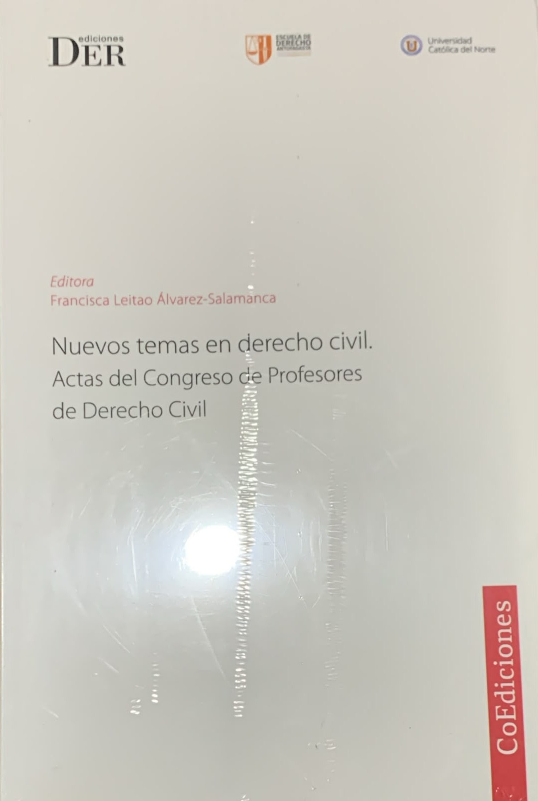 Nuevos temas en derecho civil: Actas del congreso de profesores de derecho civil
