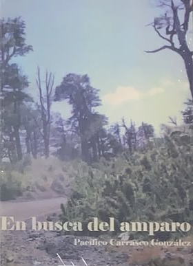 En busca del amparo