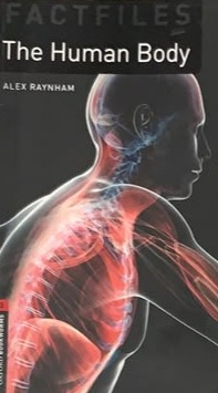 Factfiles: The Human Body