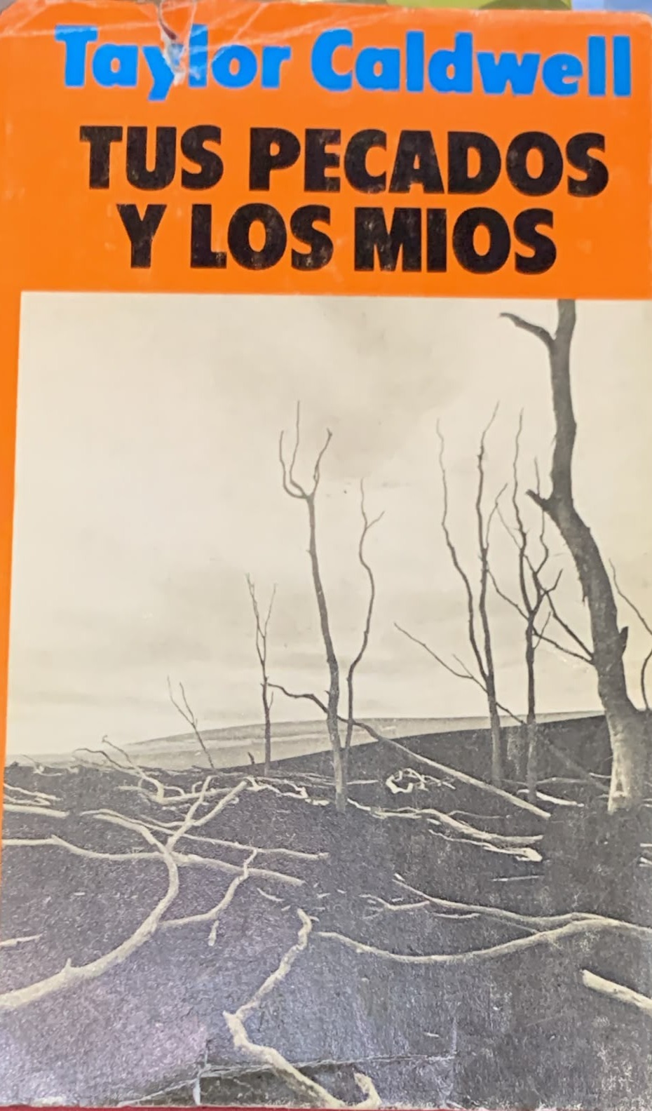 Tus pecados y los míos / Tapa Dura