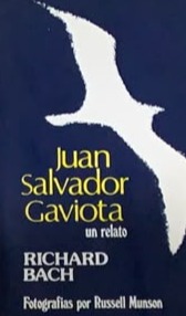Juan Salvador Gaviota (un relato)