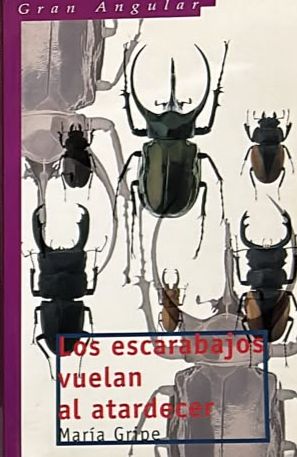 Los escarabajos vuelan al atardecer