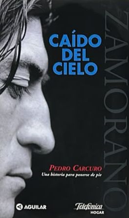 Caído del cielo: Una historia para ponerse de pie