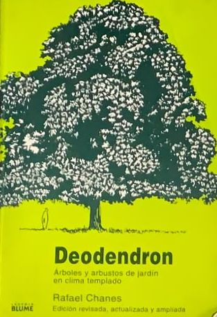 Deodendron: Árboles y arbustos de jardín en clima templado