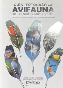 Guía fotográfica: Avifauna del centro y sur de Chile