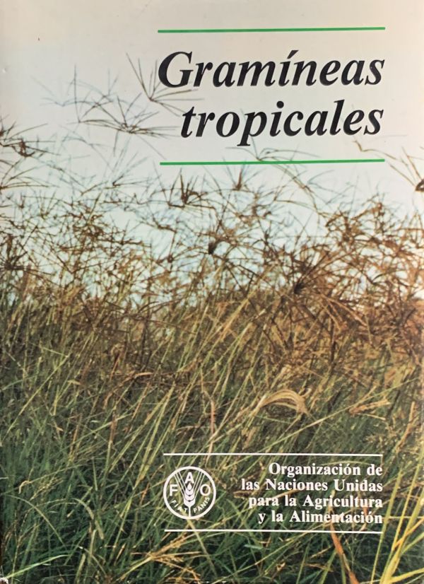 Gramíneas tropicales / Tapa Dura