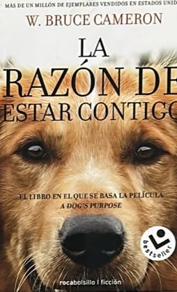 La razón de estar contigo