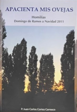 APACIENTA MIS OVEJAS: Homilias Domingo de Ramos a Navidad 2011 (Firmado)