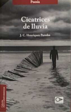 Cicatrices de lluvia