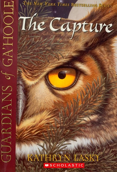 Guardians of Ga'hoole : The Capture