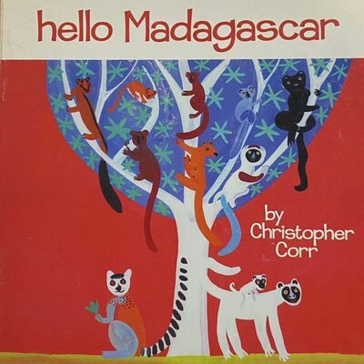 Hello Madagascar / Tapa Dura_imagen