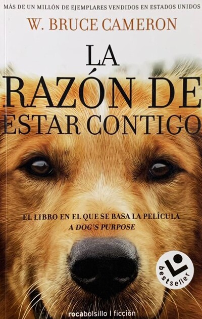 Ecolectura - La razón de estar contigo