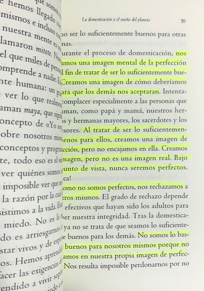 Los 4 Acuerdos de la Sabiduría Tolteca