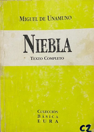 Niebla 