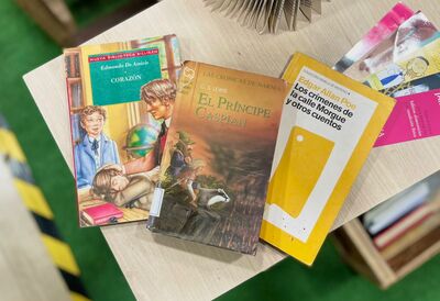 Pack Literario Juvenil: Contiene variedad de 3 libros sorpresa diferentes, de distintas temáticas. 