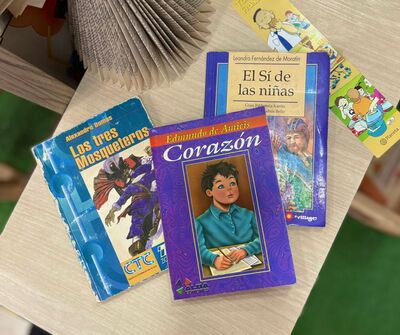 Pack Literario Juvenil: Contiene variedad de 3 libros sorpresa diferentes, de distintas temáticas. 