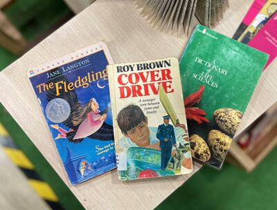 Pack Literario Juvenil: Contiene variedad de 3 libros sorpresa en idioma Ingles.