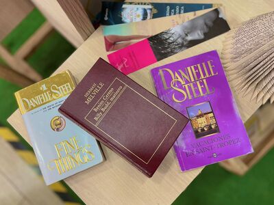 Pack Literario Novelas Adulto: Contiene variedad de 3 libros sorpresa de literatura.  