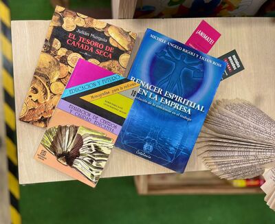 Pack Literario Adulto: Contiene variedad de 3 libros sorpresa diferentes, de distintas temáticas.  