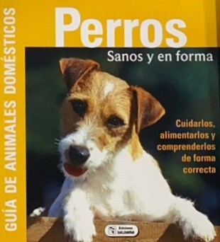 Perros sanos y en forma: Cuidarlos, alimentarlos y comprenderlos de forma correcta 