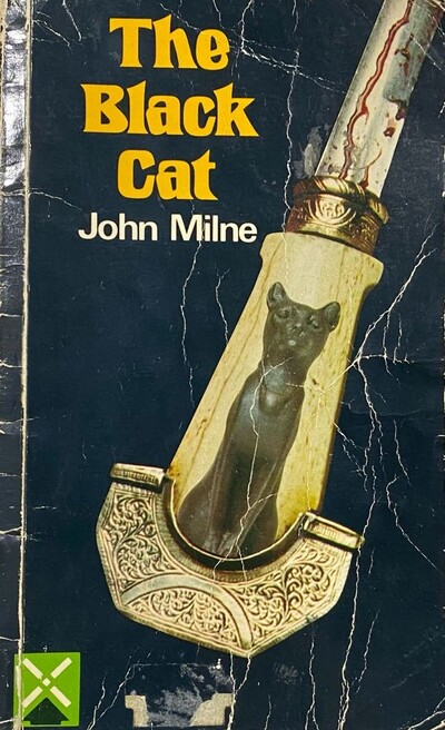 The Black Cat 